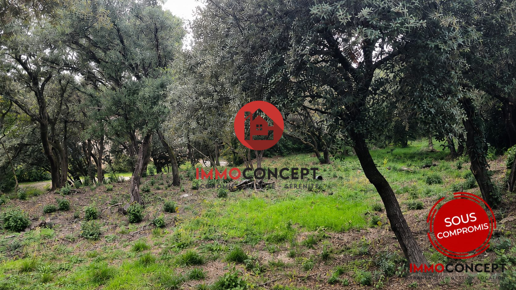 Agence immobilière de IMMOCONCEPT