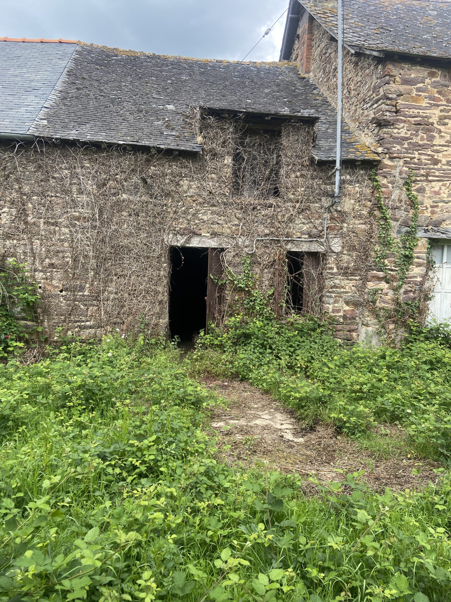 Agence immobilière de Marie-Ambre HAUGUEL