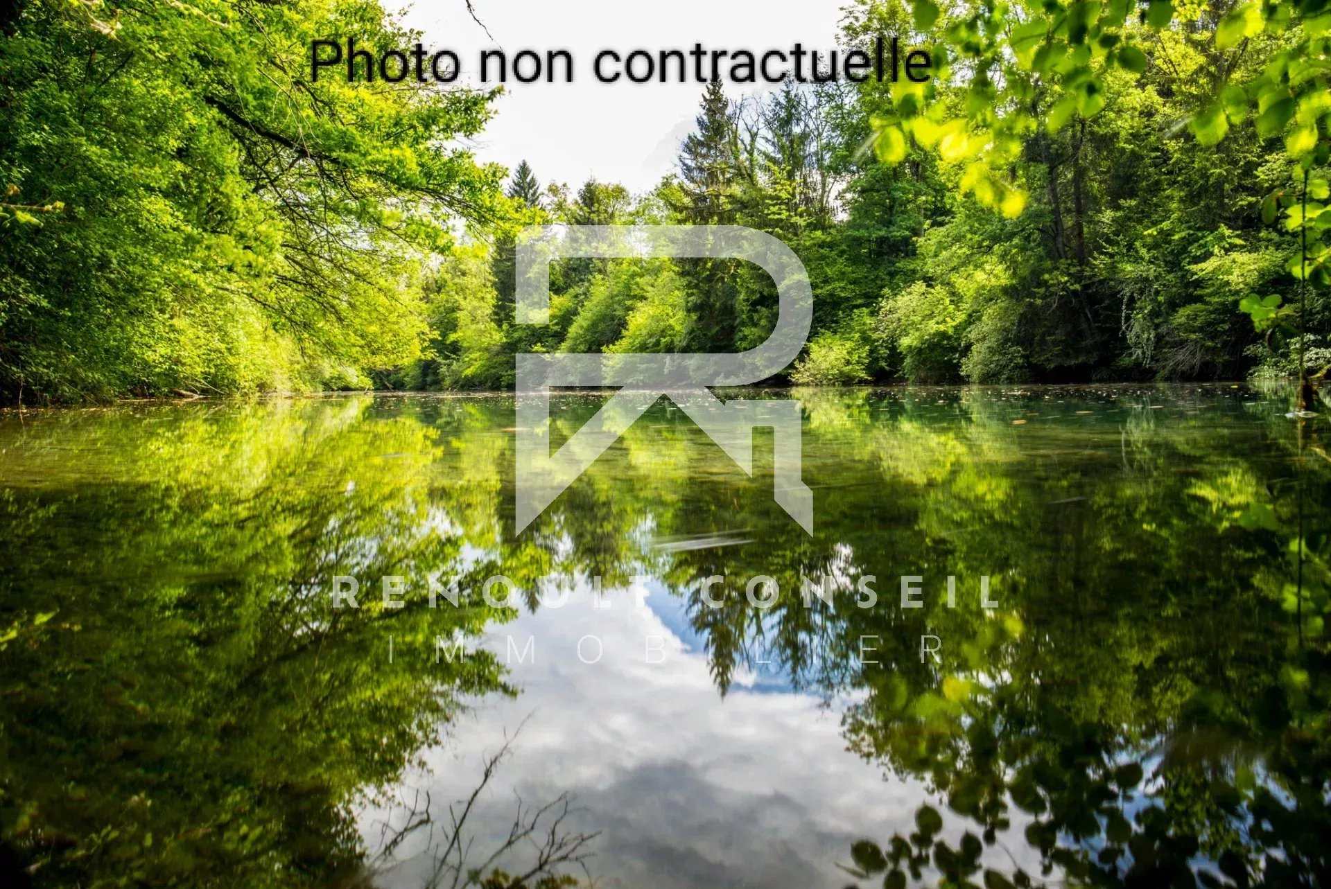 Agence immobilière de Marc DOUYERE