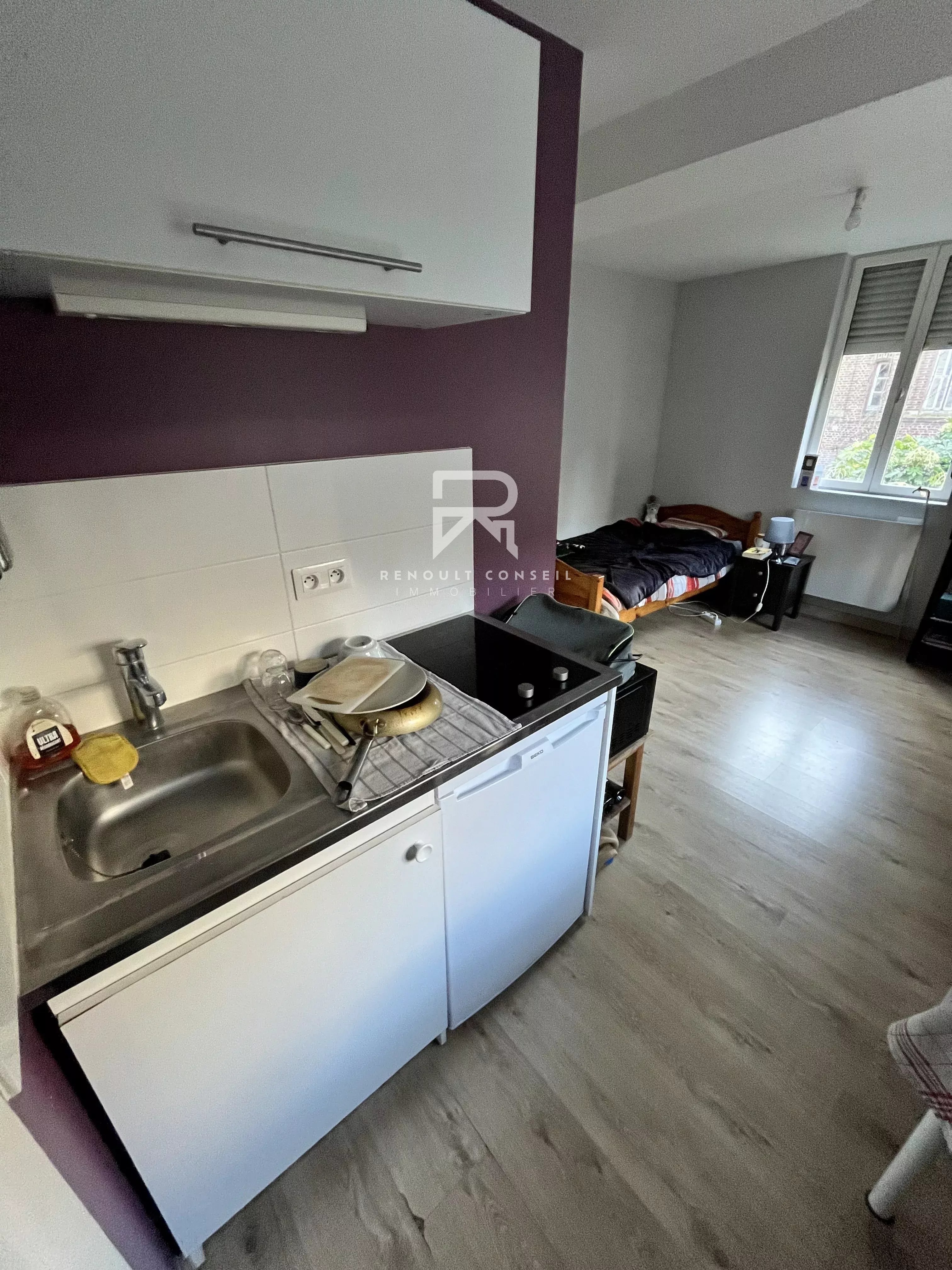 Agence immobilière de Marc DOUYERE