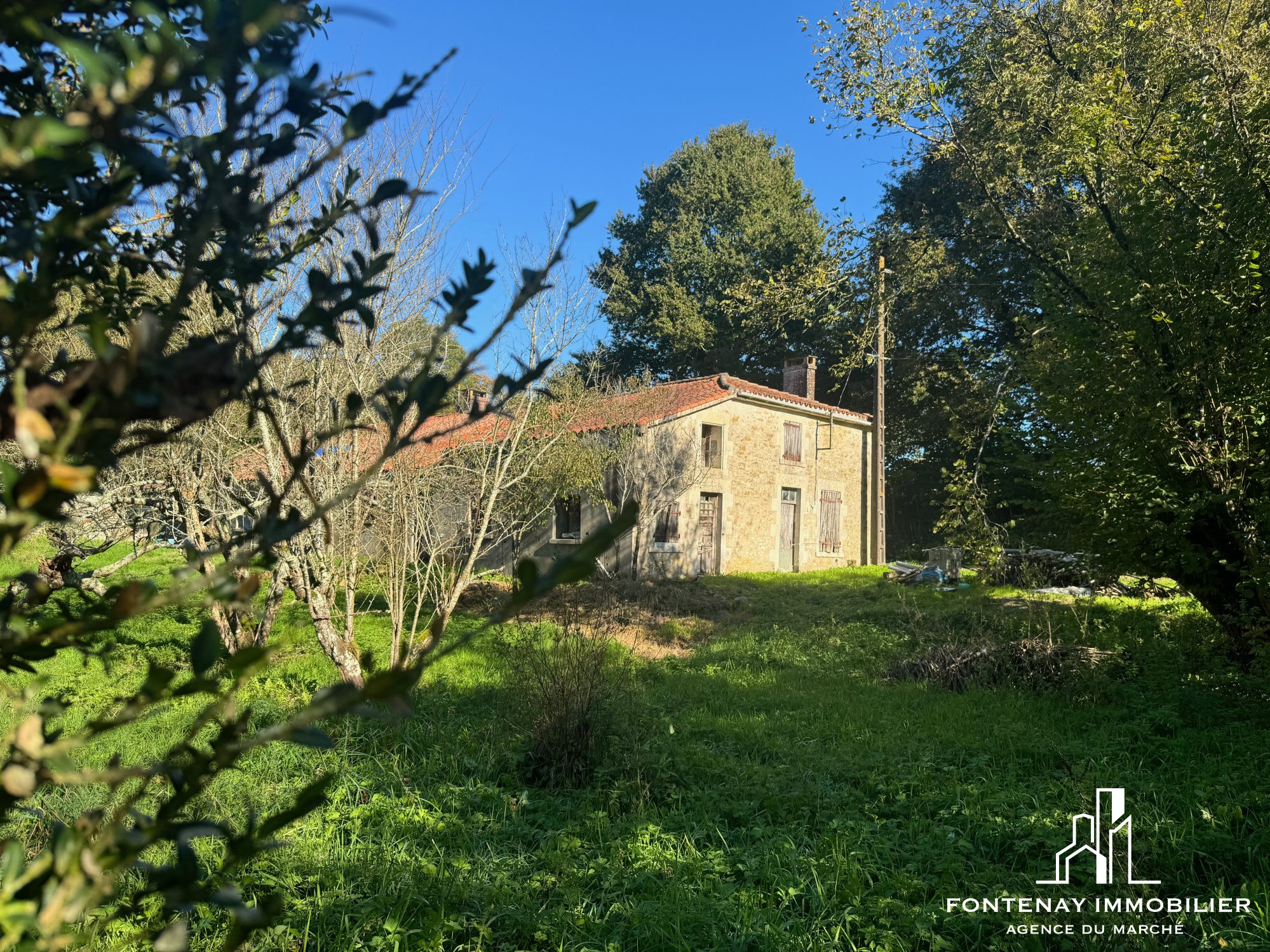 Agence immobilière de DRUJON D'ASTROS Christophe