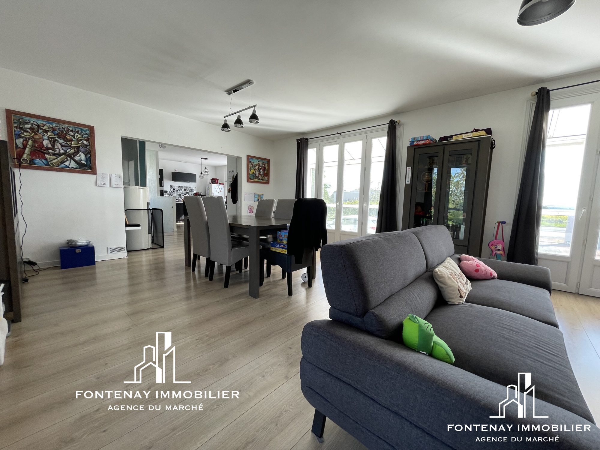 Agence immobilière de DRUJON D'ASTROS Christophe