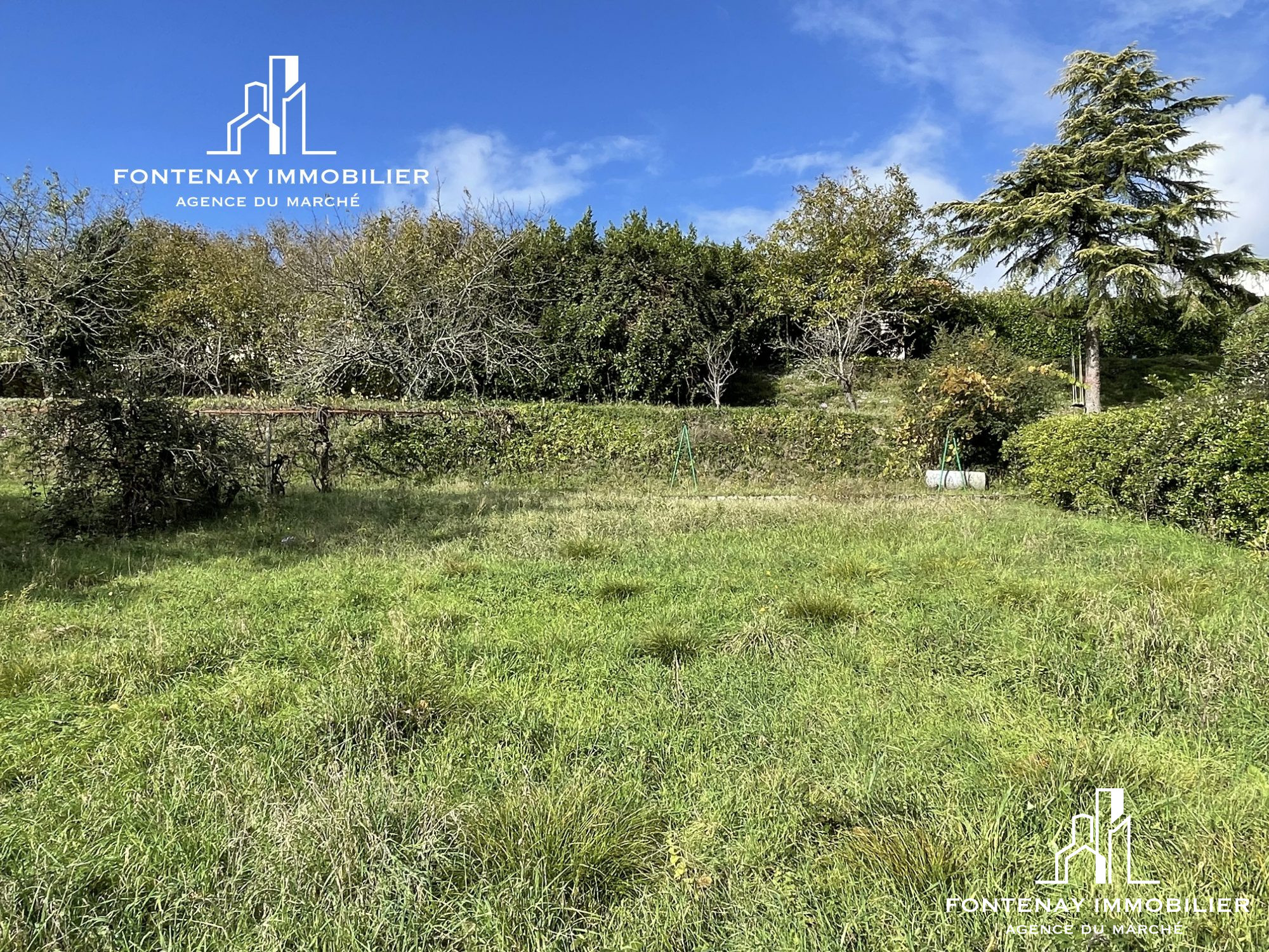 Agence immobilière de DRUJON D'ASTROS Christophe