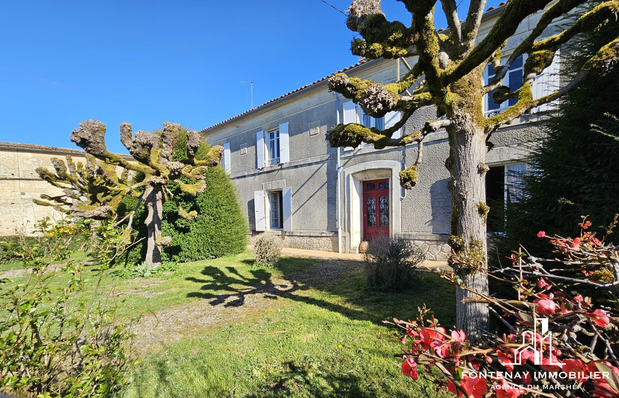 Agence immobilière de DRUJON D'ASTROS Christophe