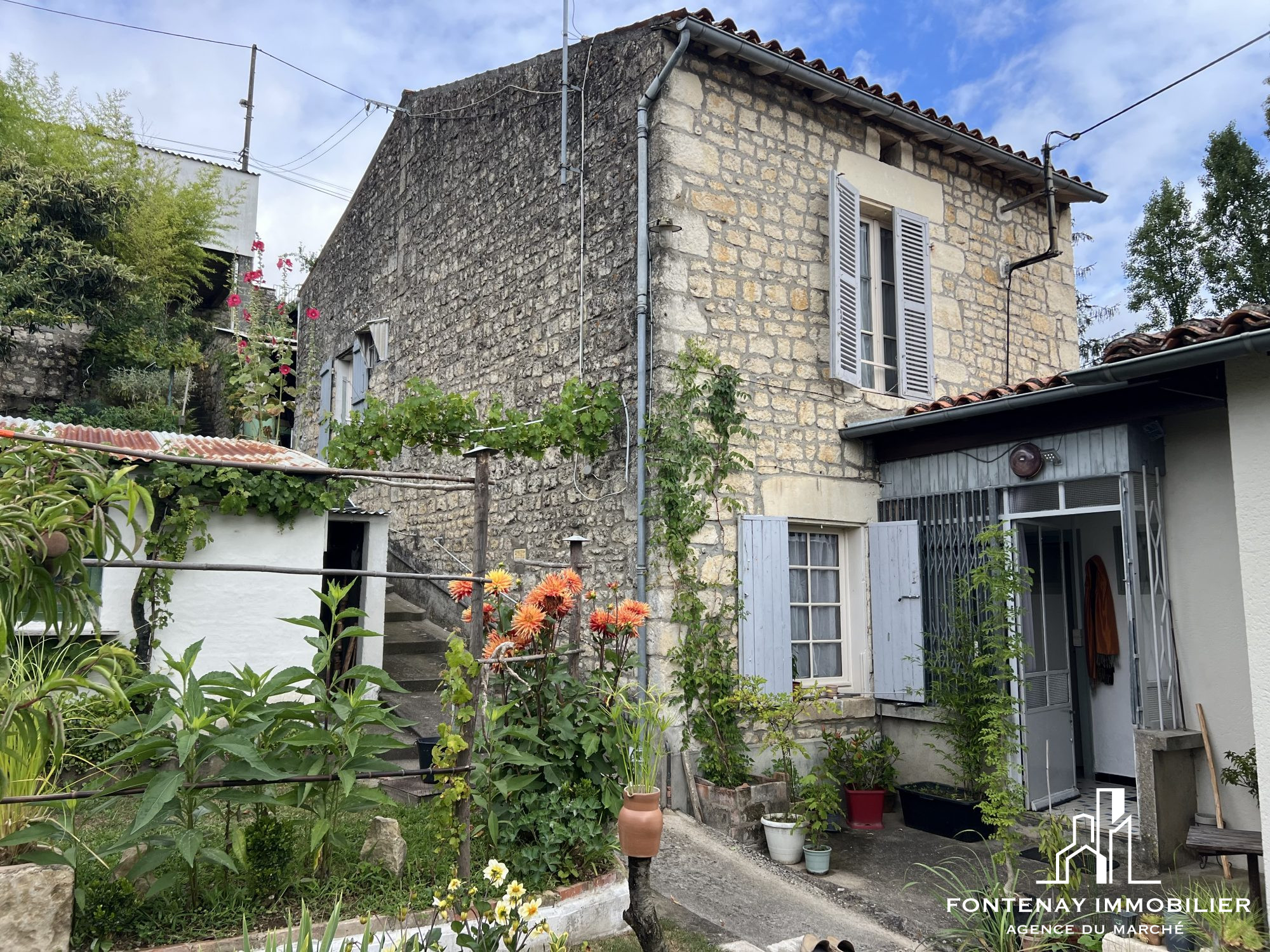 Agence immobilière de DRUJON D'ASTROS Christophe