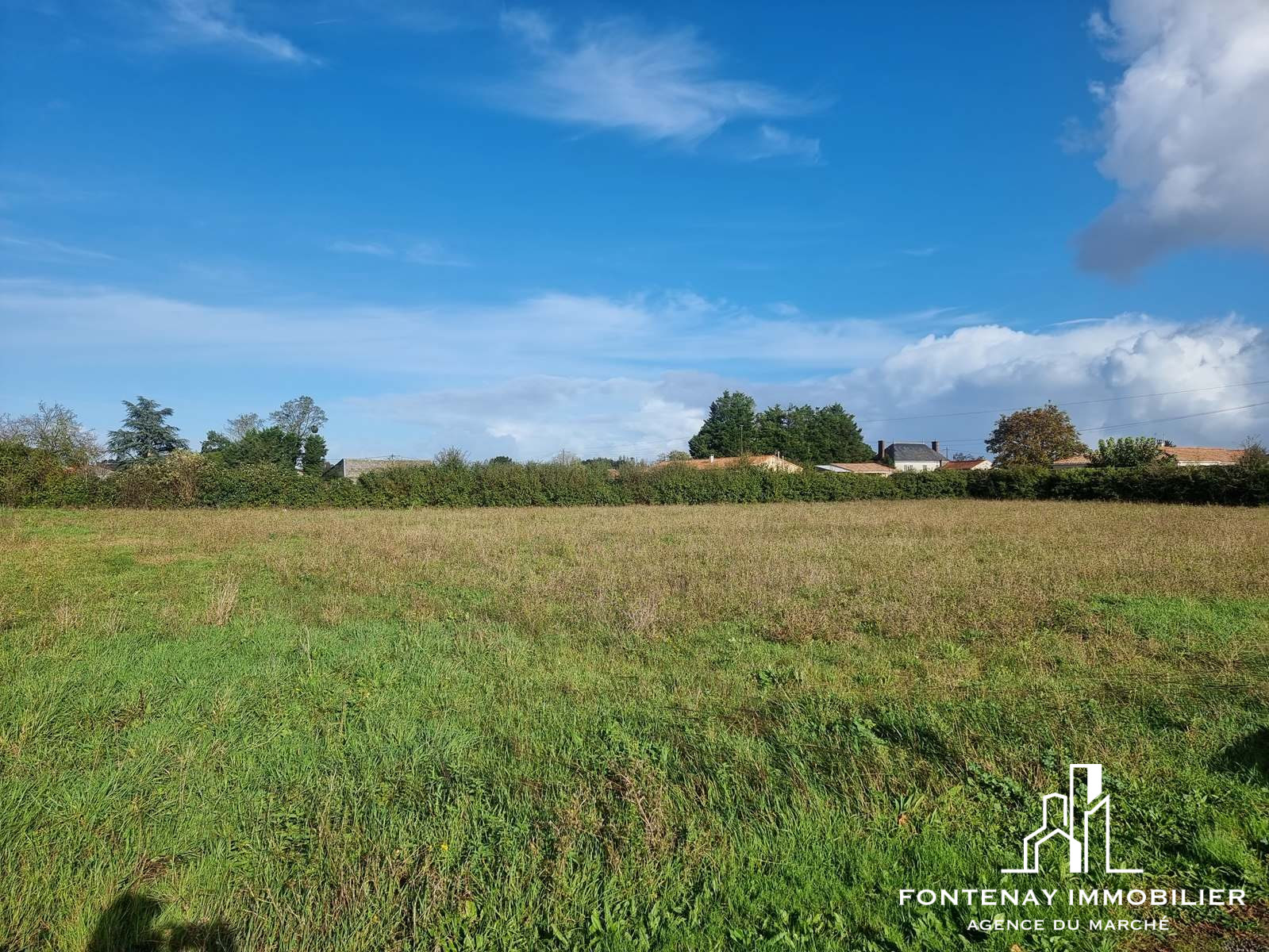 Agence immobilière de DRUJON D'ASTROS Christophe