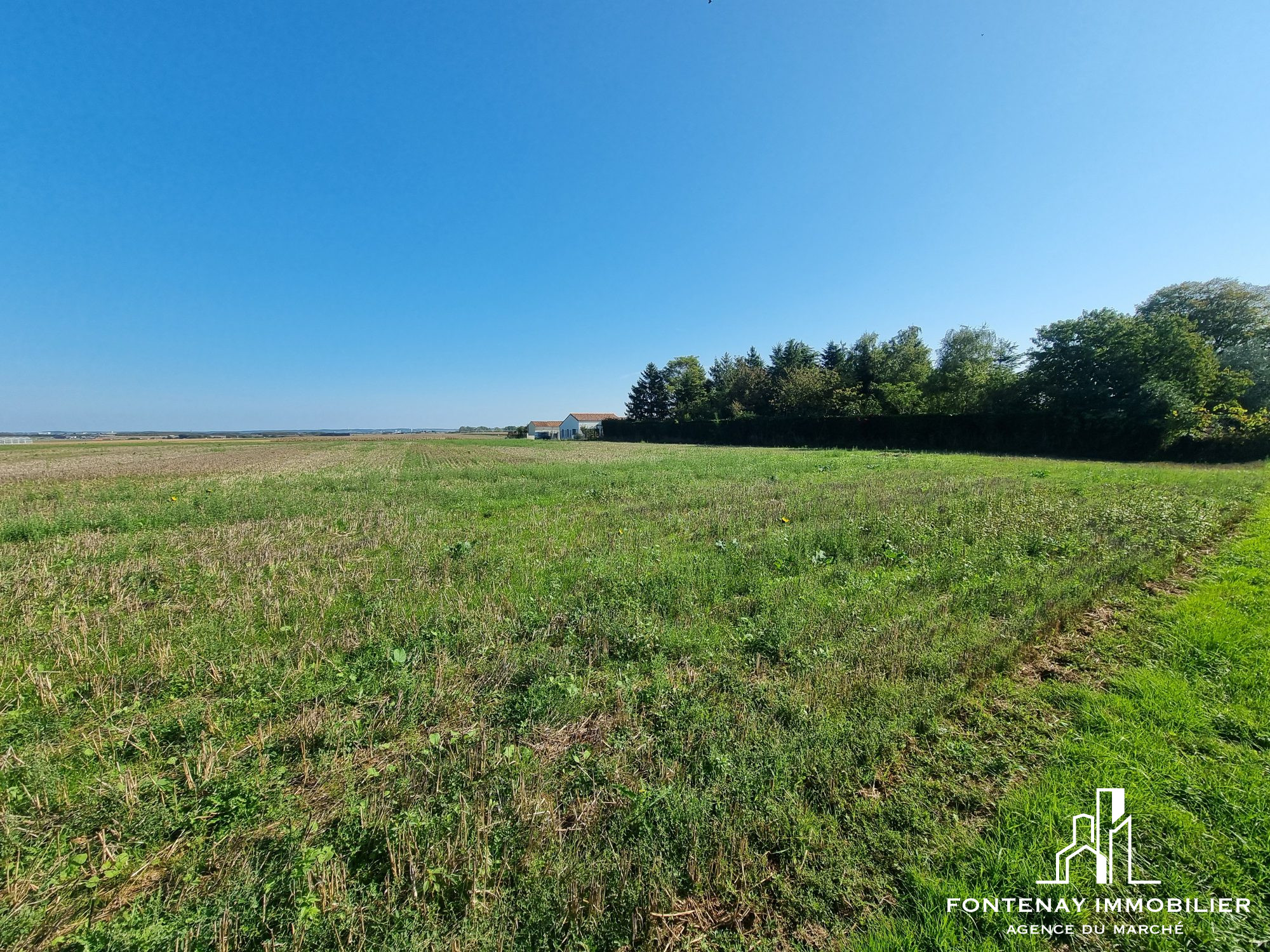 Agence immobilière de DRUJON D'ASTROS Christophe