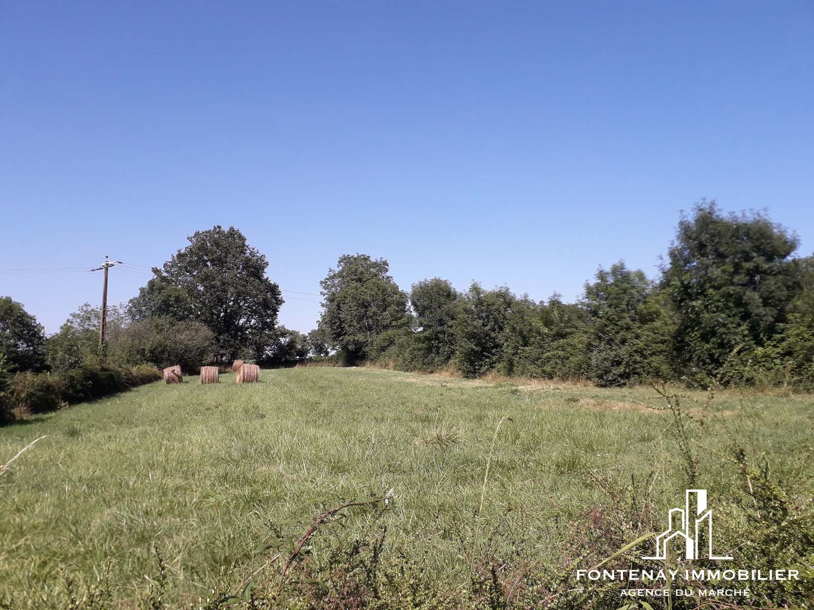 Agence immobilière de DRUJON D'ASTROS Christophe