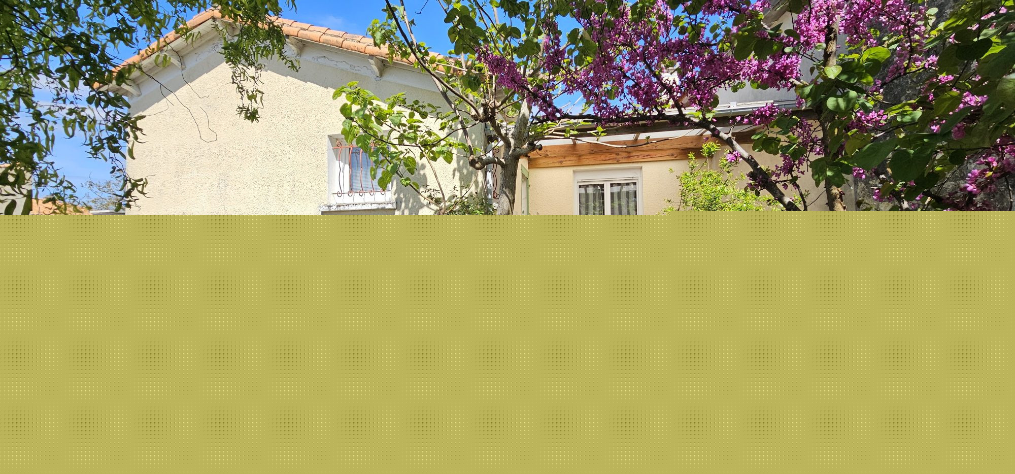Agence immobilière de DRUJON D'ASTROS Christophe