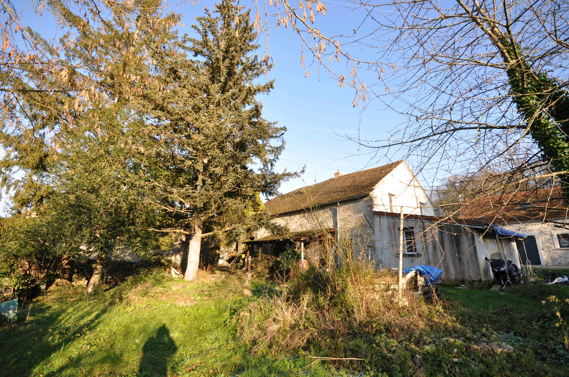 Agence immobilière de ASF IMMOBILIER - Boissy