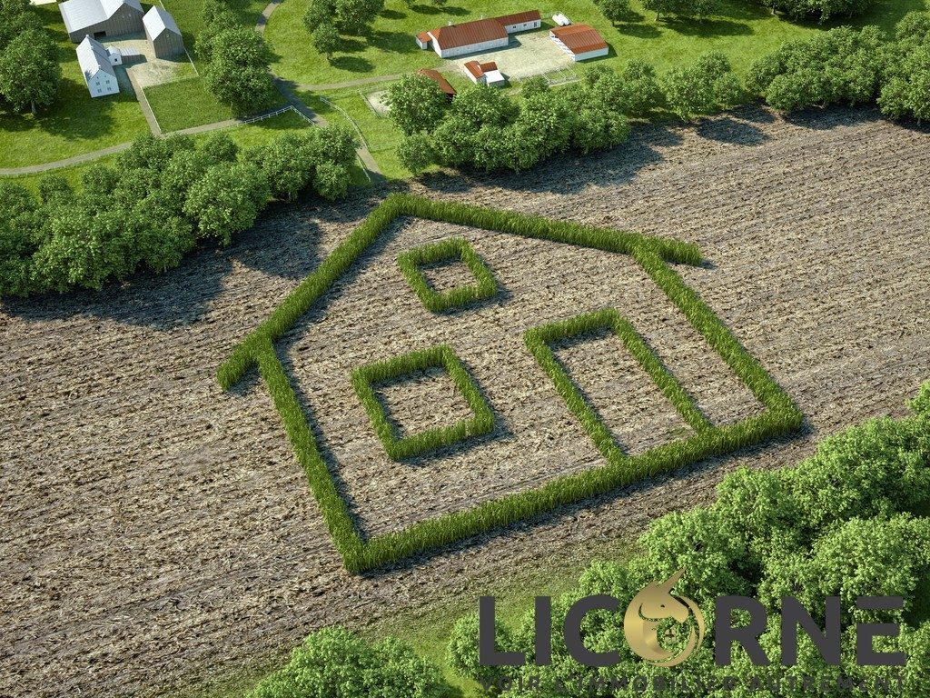 Agence immobilière de Licorne – Voir l’immobilier autrement