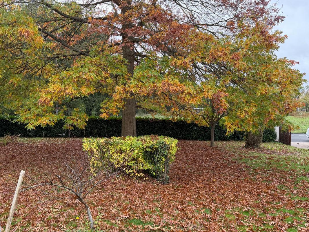 Agence immobilière de In Vestiss France Margot