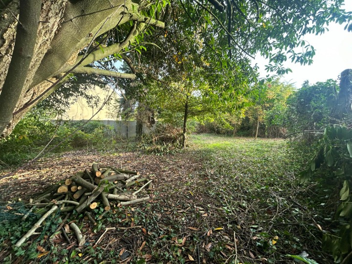 Agence immobilière de In Vestiss France Margot