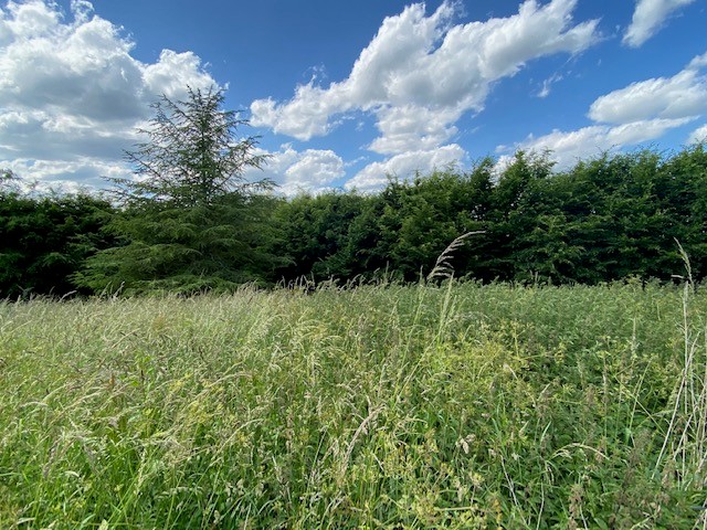 Agence immobilière de In Vestiss France Margot