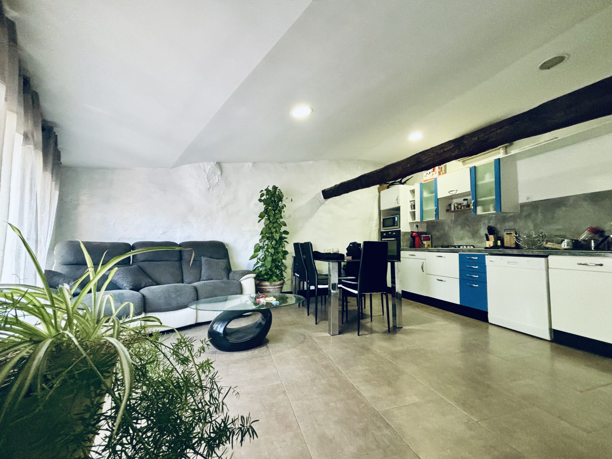 Agence immobilière de Laurent COUDRET