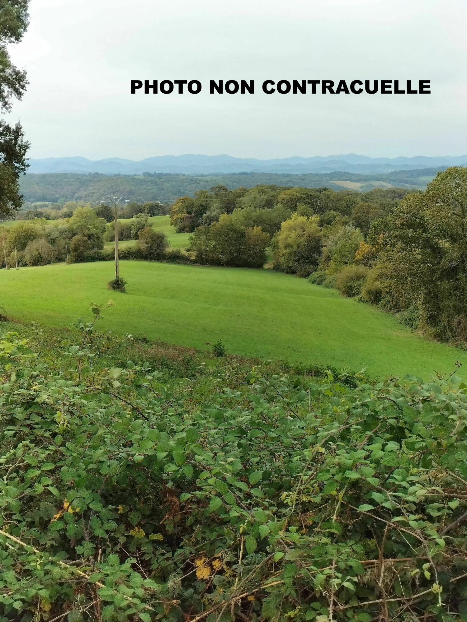 Agence immobilière de Laurent COUDRET