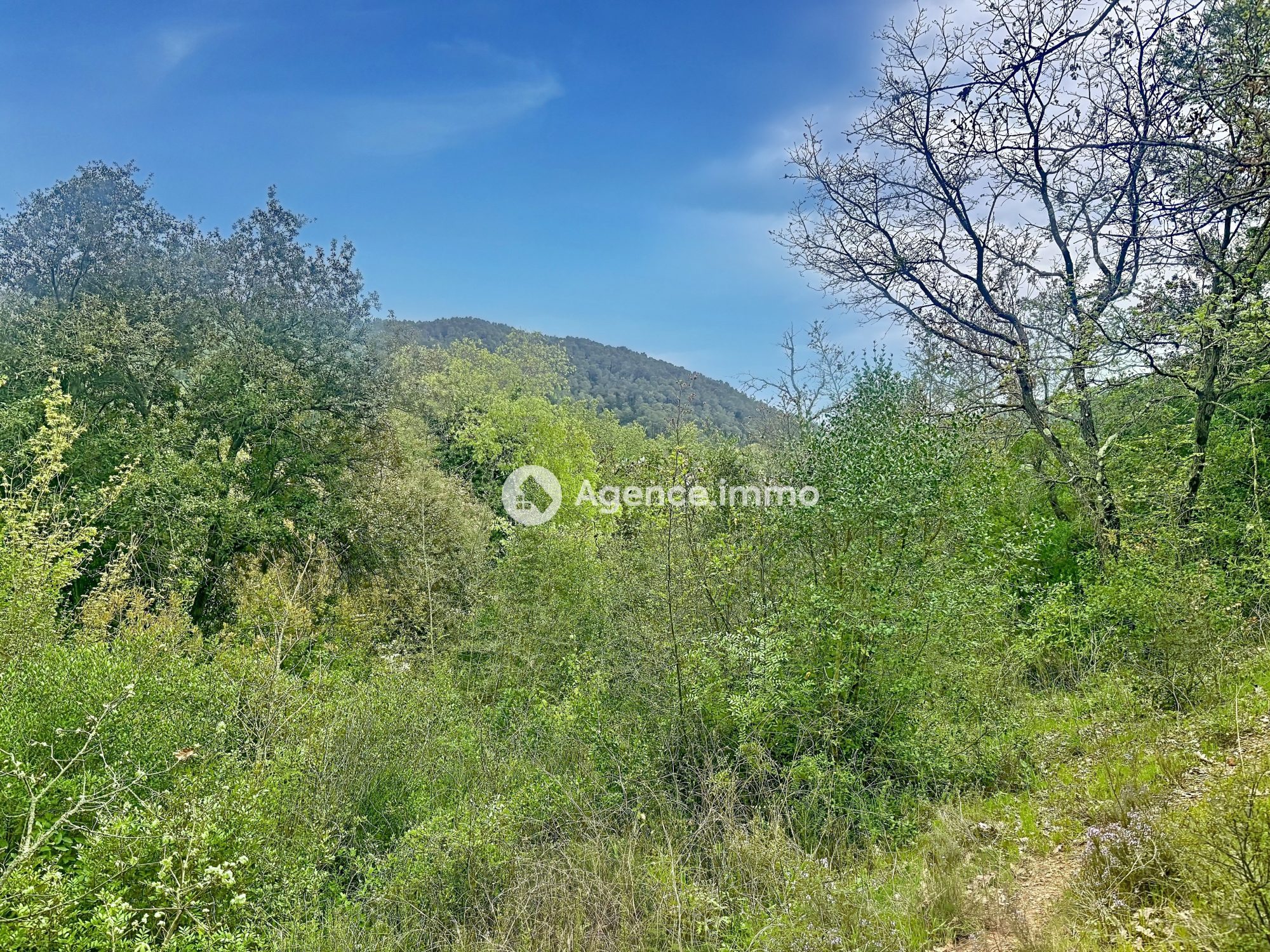 Agence immobilière de Laurent COUDRET