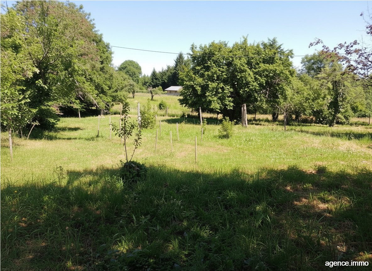 Agence immobilière de Laurent COUDRET