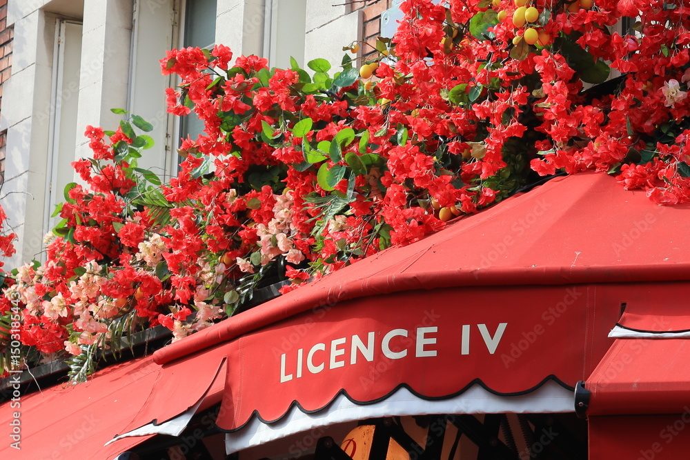 Agence immobilière de Laurent COUDRET