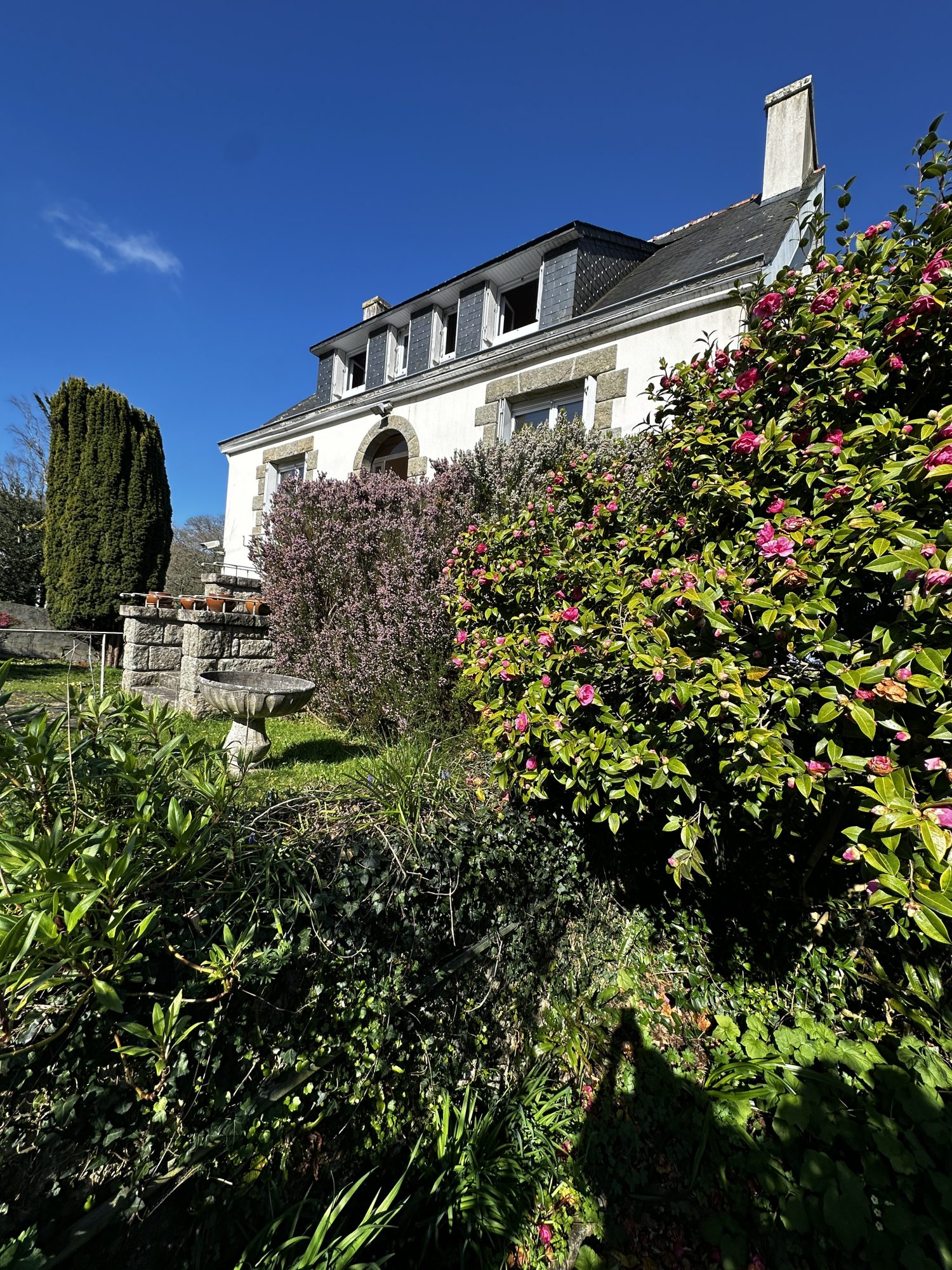 Agence immobilière de Laurent COUDRET