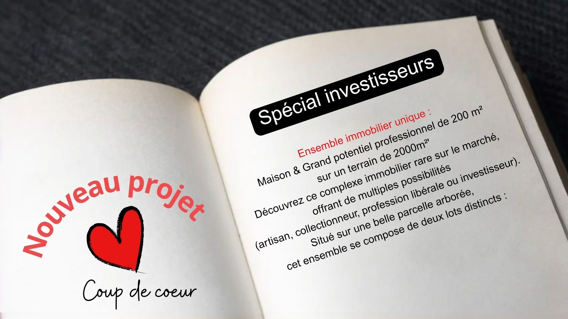 Agence immobilière de Laurent COUDRET