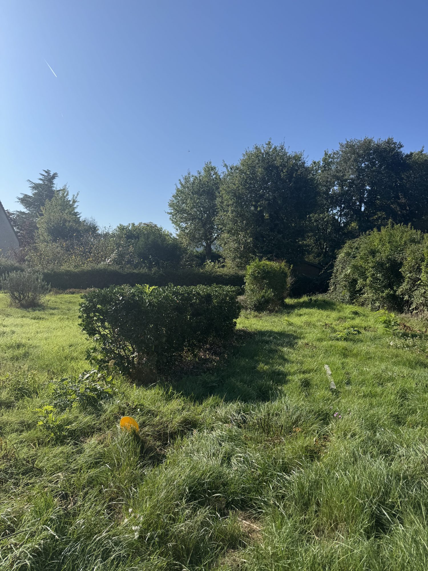 Agence immobilière de Laurent COUDRET