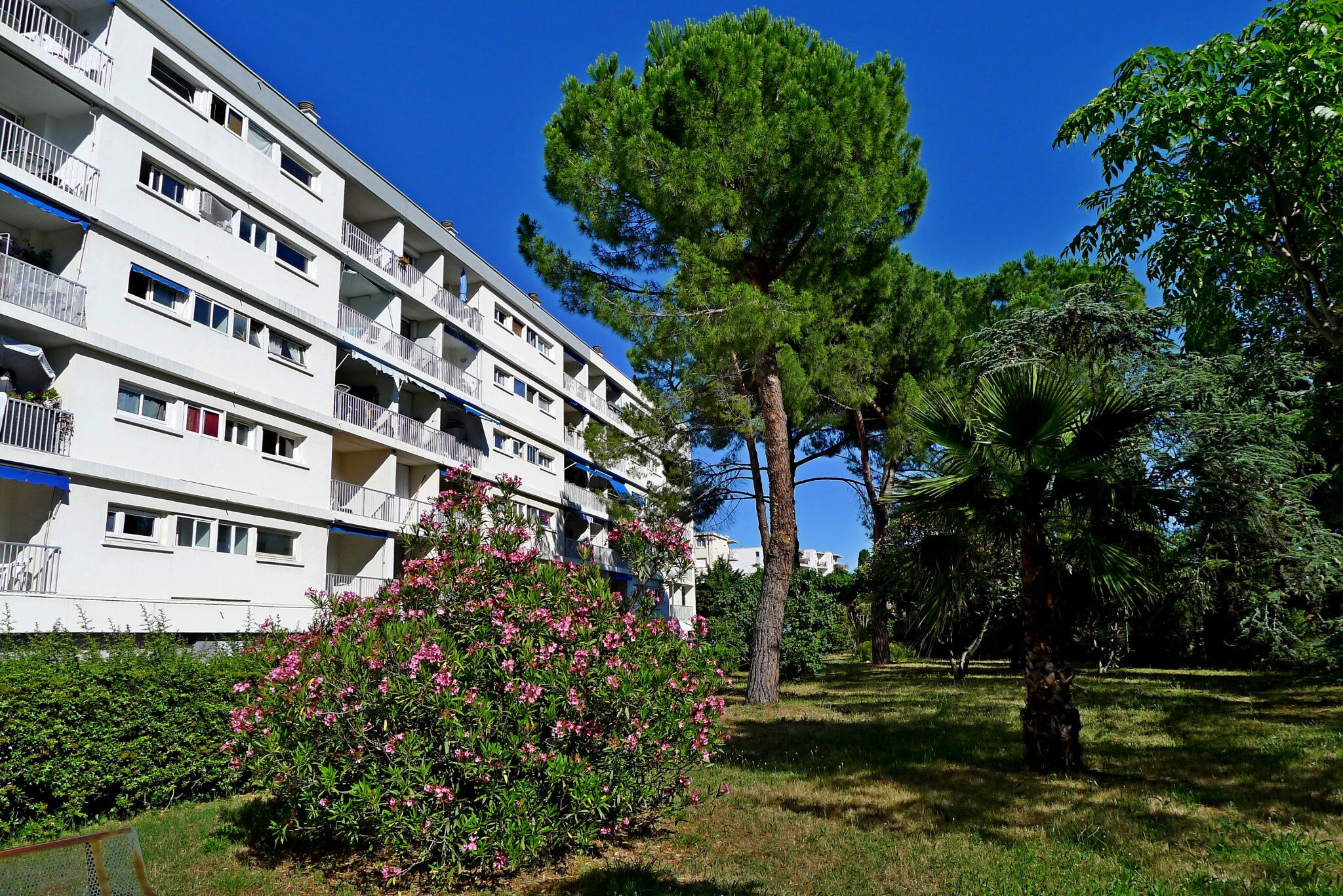 Agence immobilière de DIANA Fabrice