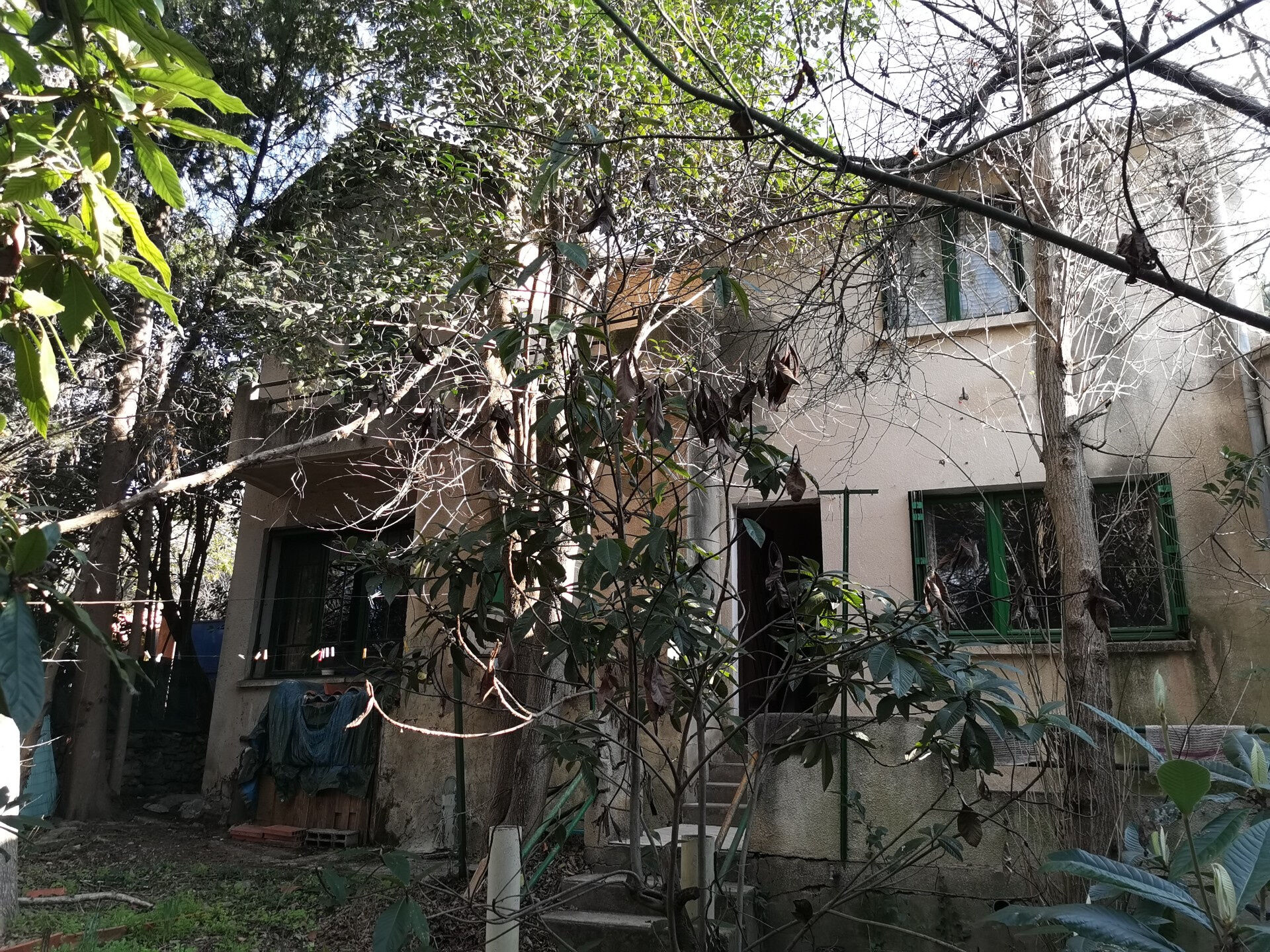 Agence immobilière de DIANA Fabrice