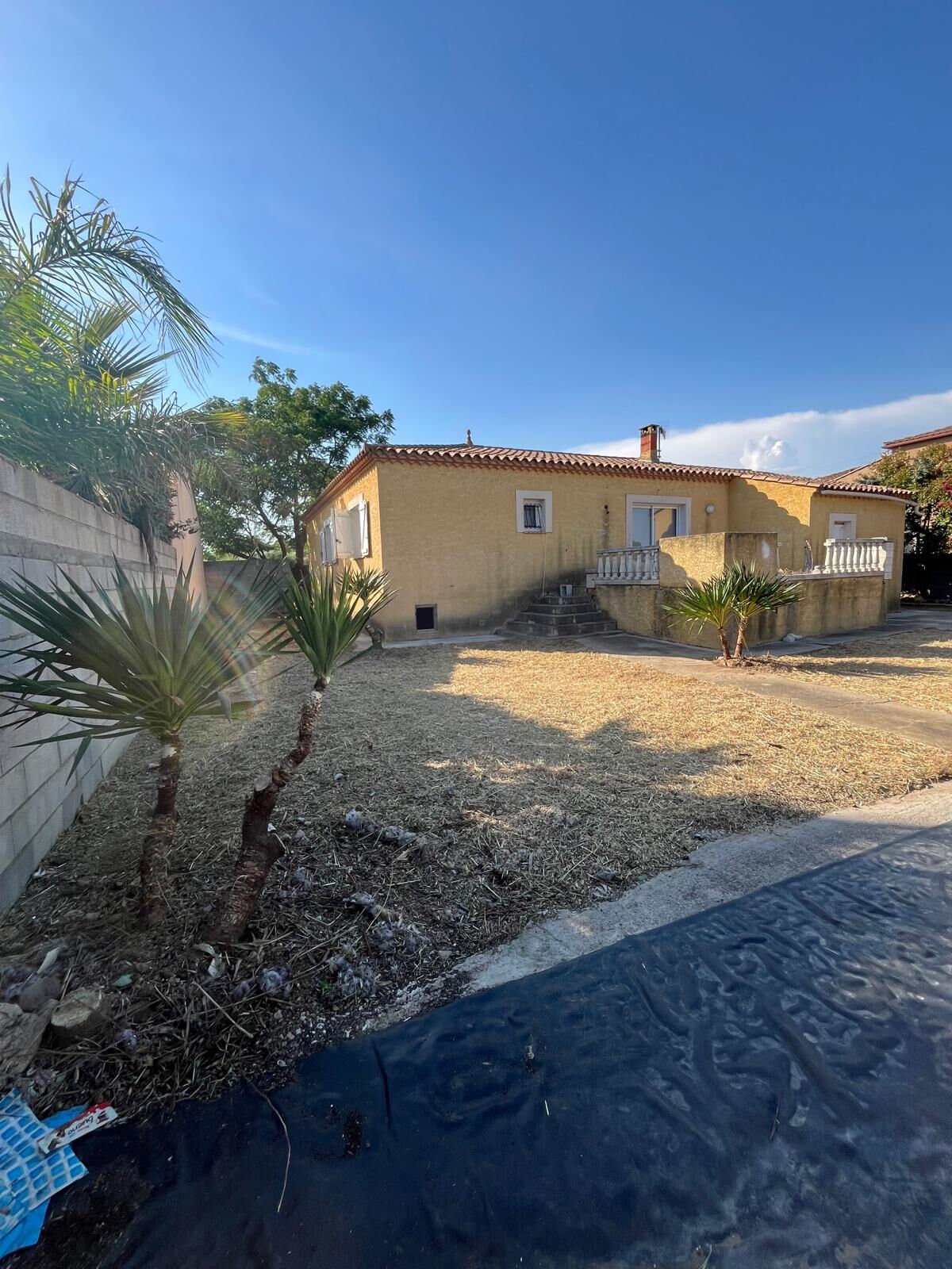 Agence immobilière de DIANA Fabrice