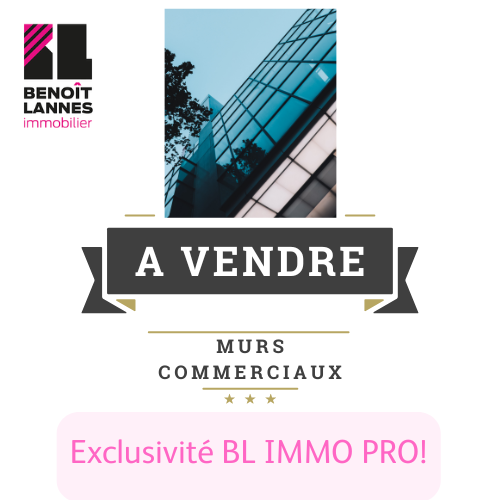 Agence immobilière de Benoît Lannes Immobilier