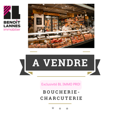 Agence immobilière de Benoît Lannes Immobilier