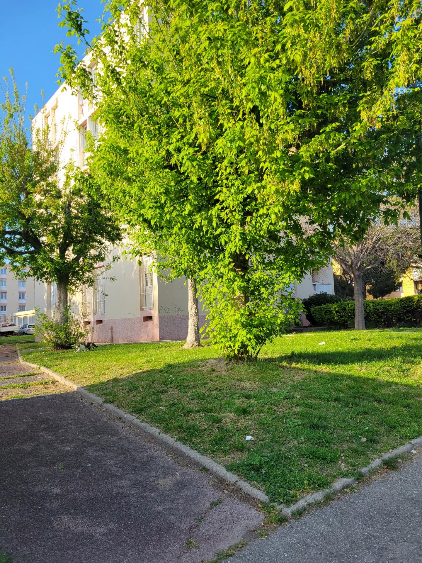 Agence immobilière de Célia OURAGHI
