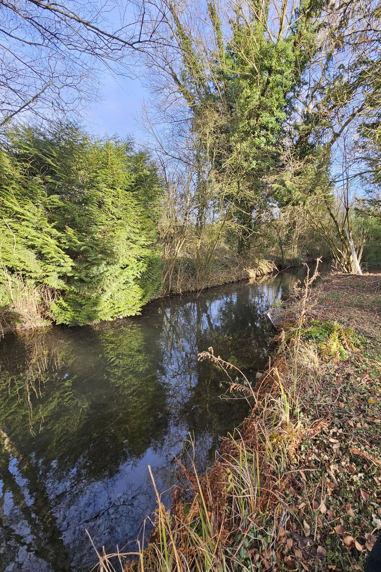 Agence immobilière de MONTUELLE PASCALINE