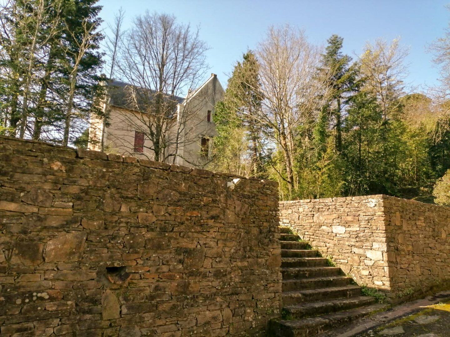 Agence immobilière de AGENCE INTERNATIONALE ALBERT HONIG