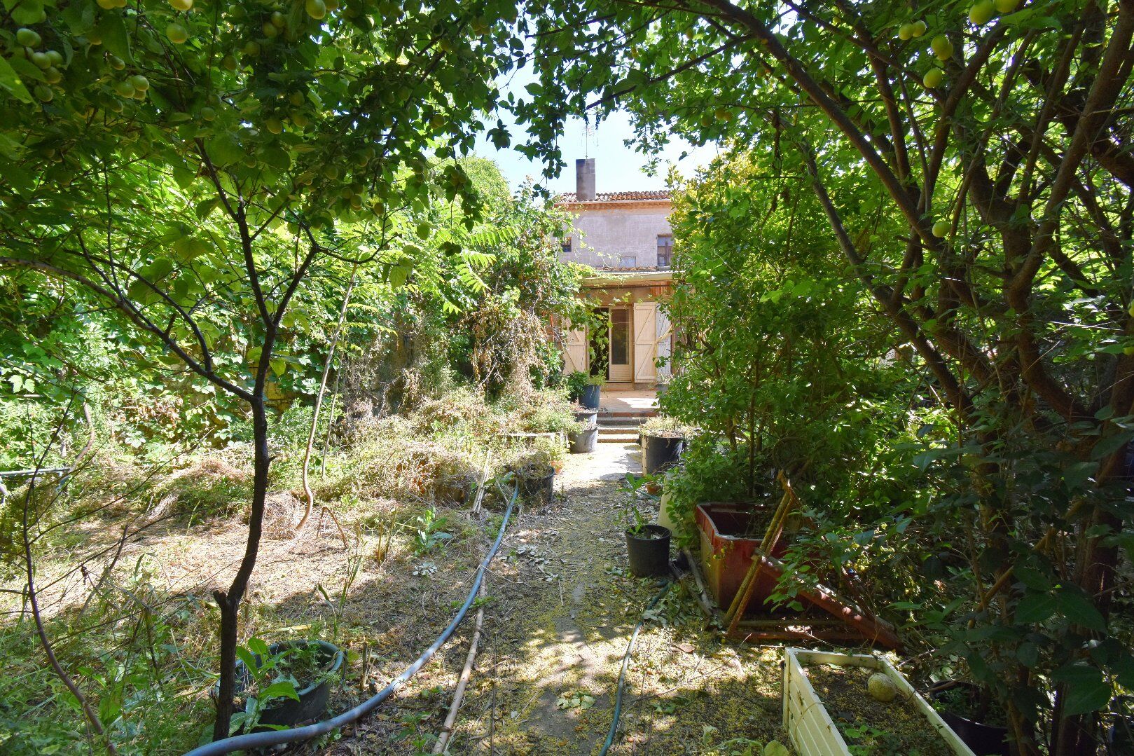 Agence immobilière de AGENCE INTERNATIONALE ALBERT HONIG