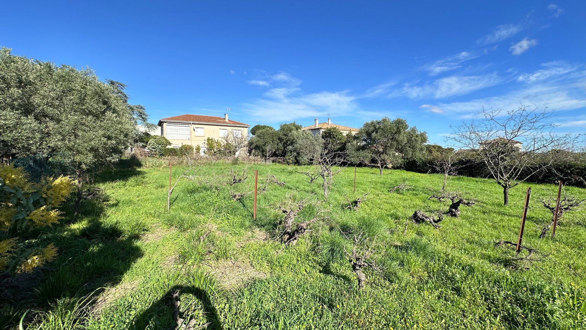 Agence immobilière de AGENCE INTERNATIONALE ALBERT HONIG