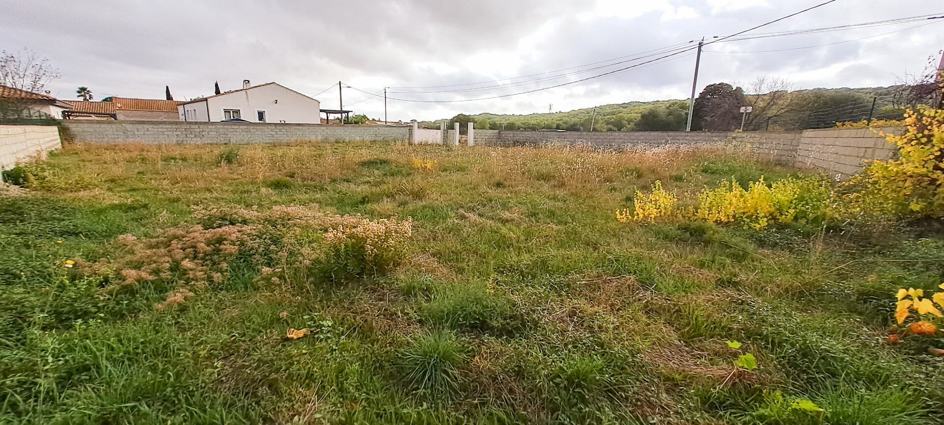 Agence immobilière de AGENCE INTERNATIONALE ALBERT HONIG