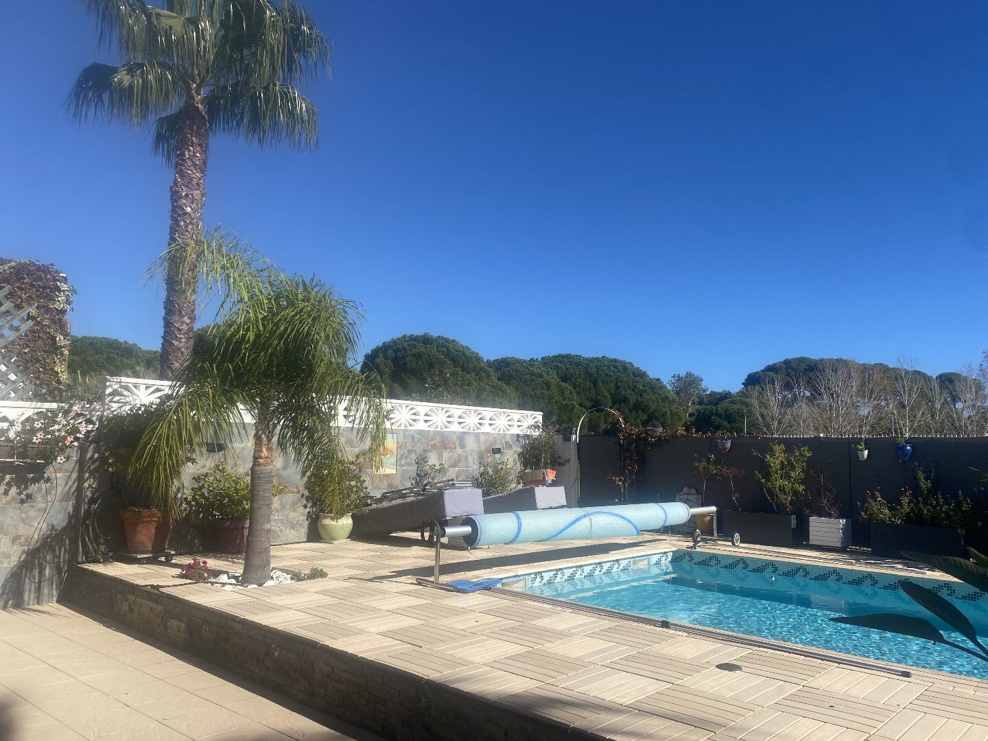 Agence immobilière de AGENCE INTERNATIONALE ALBERT HONIG