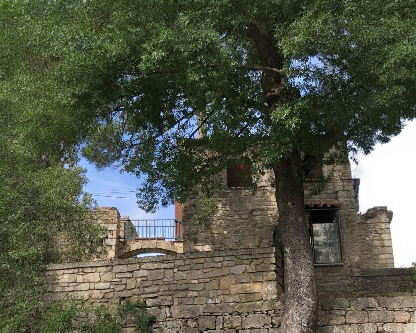 Agence immobilière de AGENCE INTERNATIONALE ALBERT HONIG