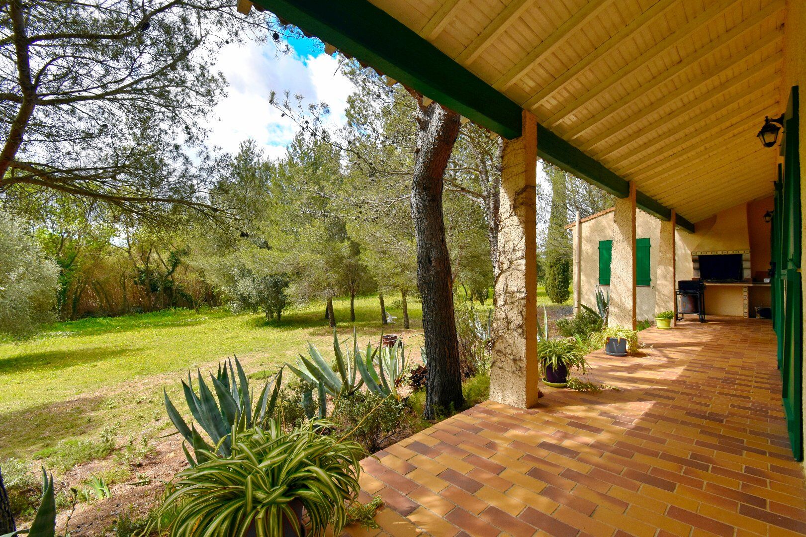 Agence immobilière de AGENCE INTERNATIONALE ALBERT HONIG