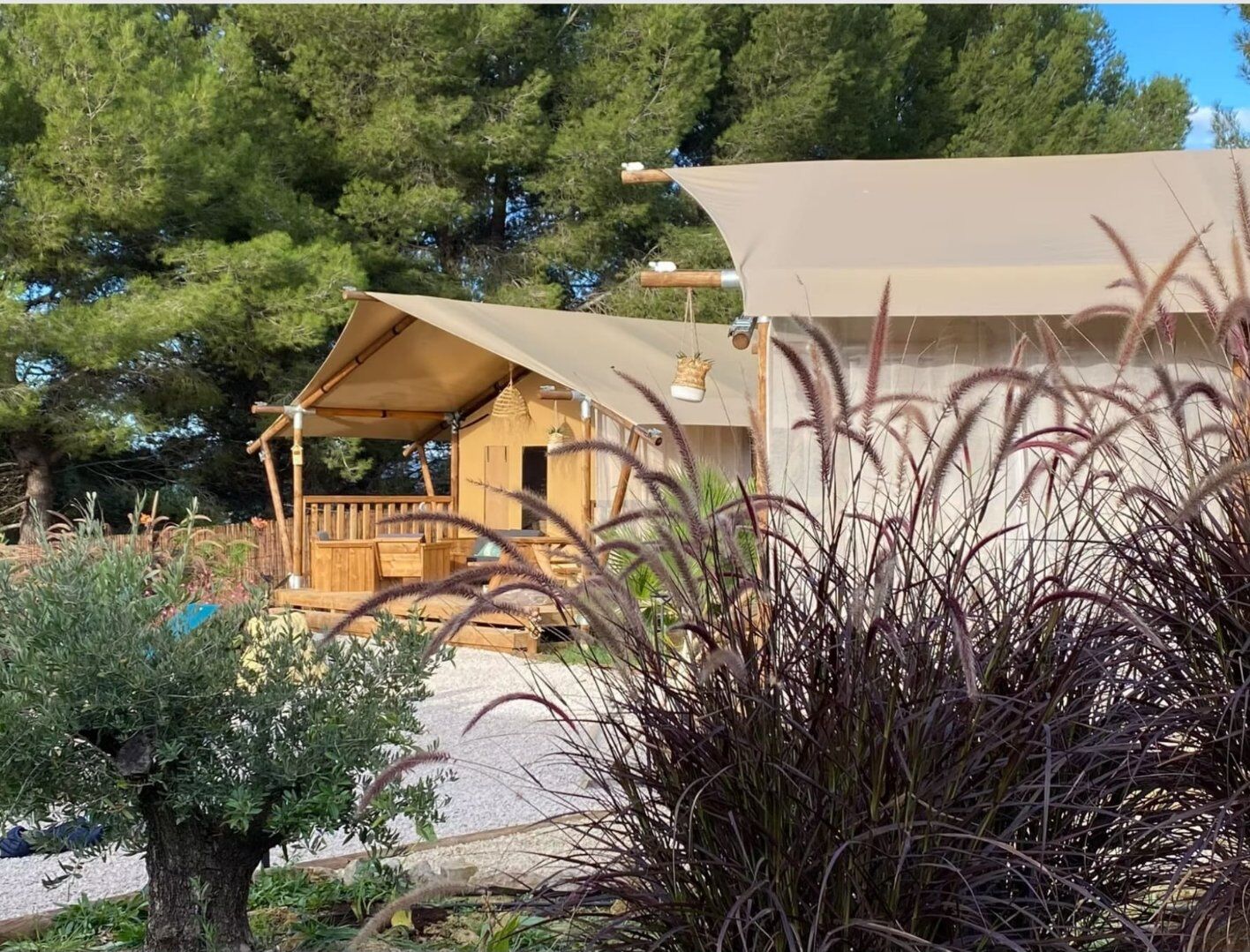 Agence immobilière de AGENCE INTERNATIONALE ALBERT HONIG