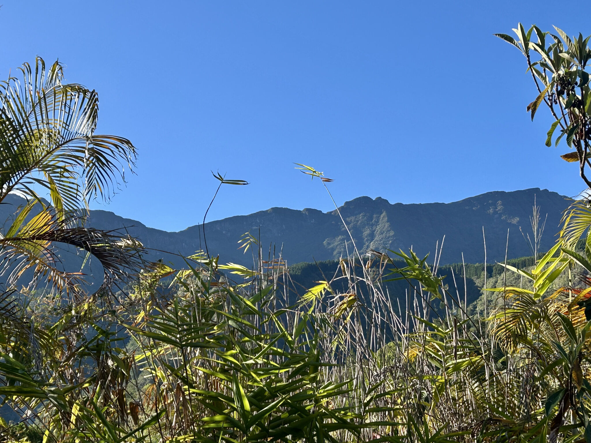 Agence immobilière de MEERSMAN Gaëlle
