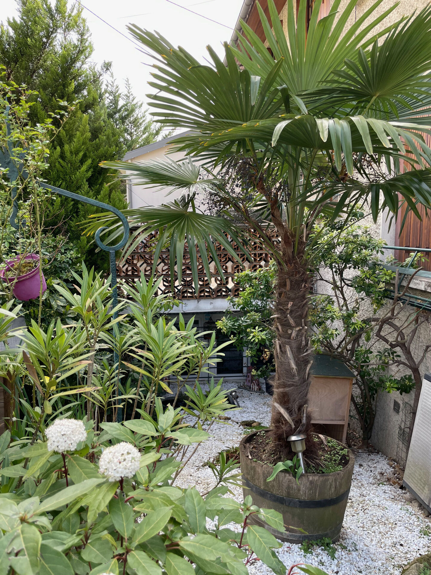 Agence immobilière de Cote Home Immobilier