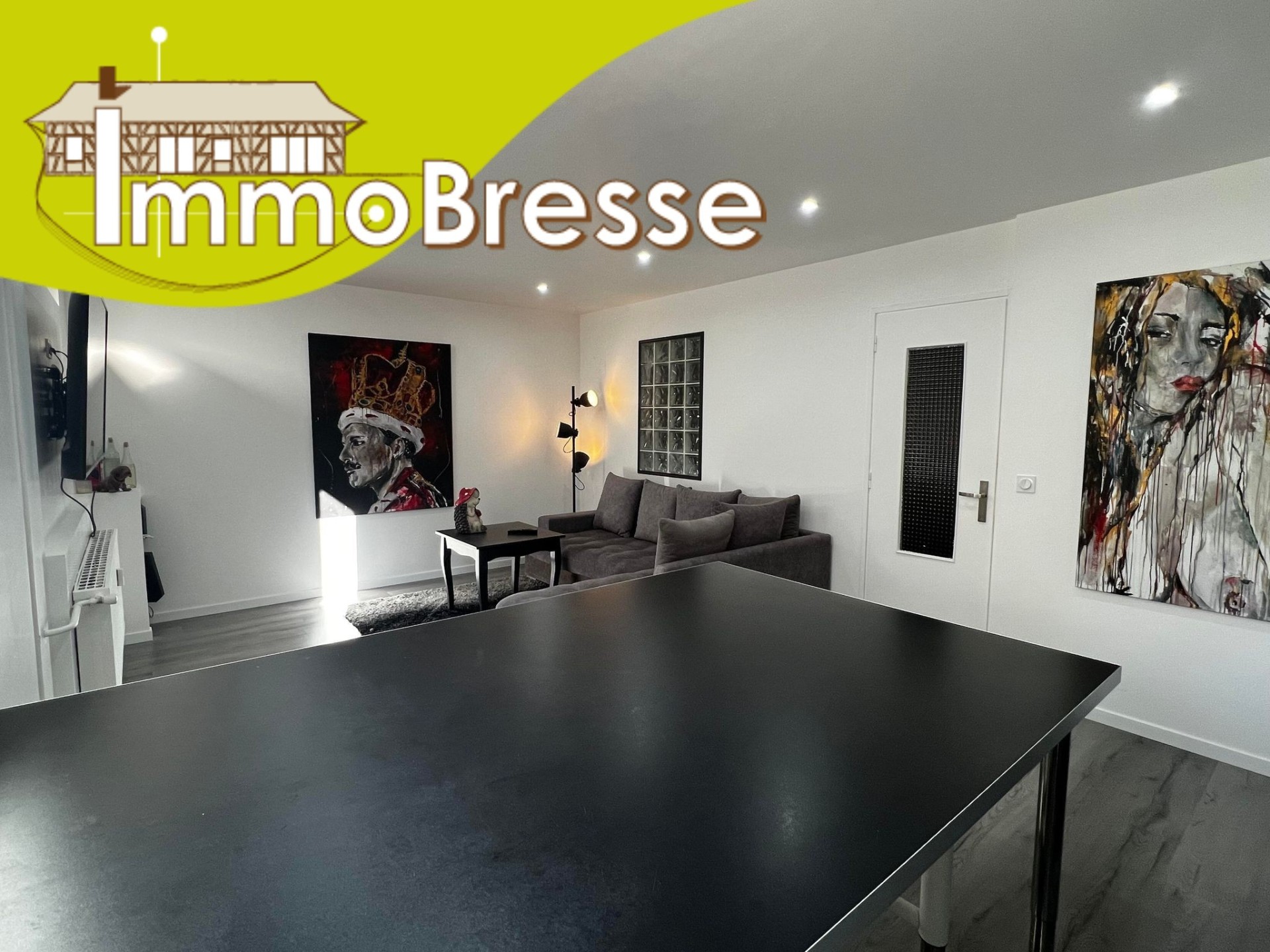 Agence immobilière de Sylvain BRIDON