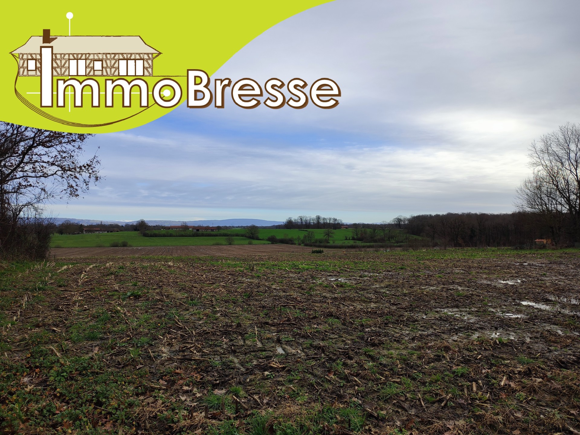 Agence immobilière de Sylvain BRIDON