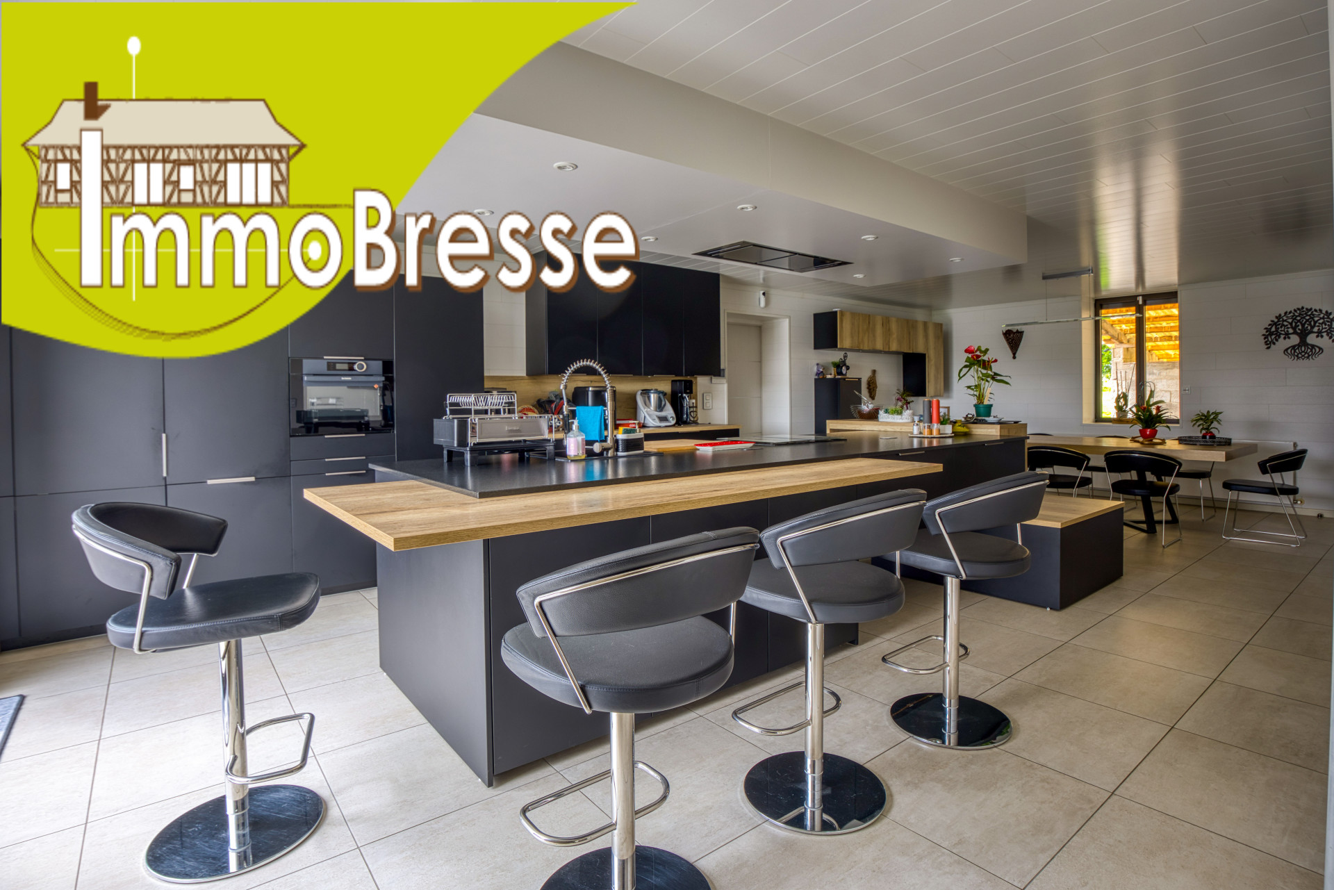 Agence immobilière de Sylvain BRIDON