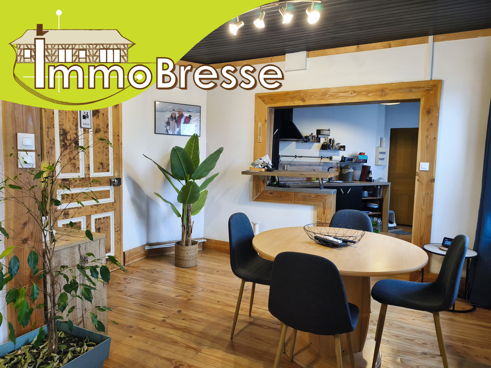 Agence immobilière de Sylvain BRIDON