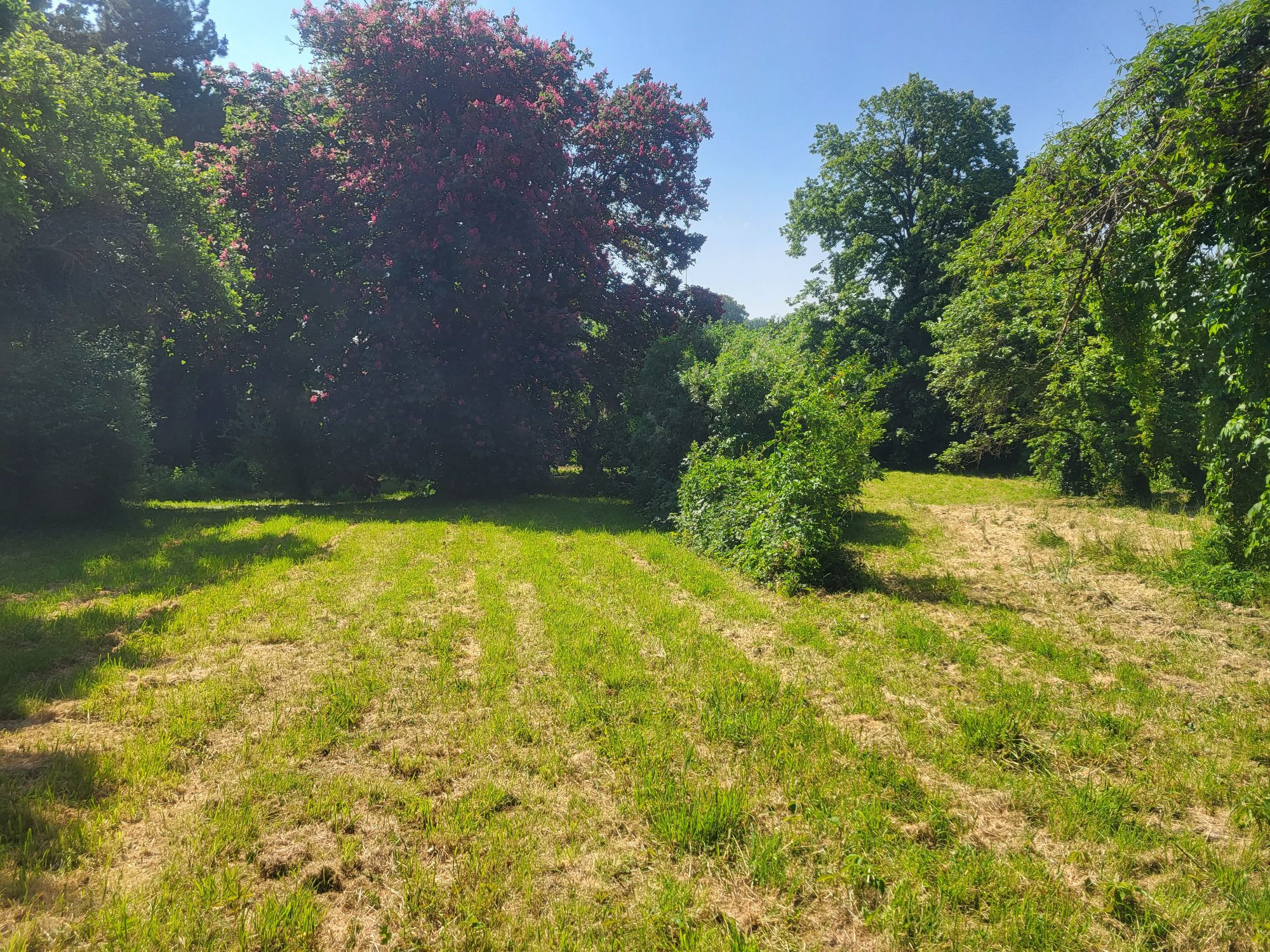 Agence immobilière de CHARLINE IMMO