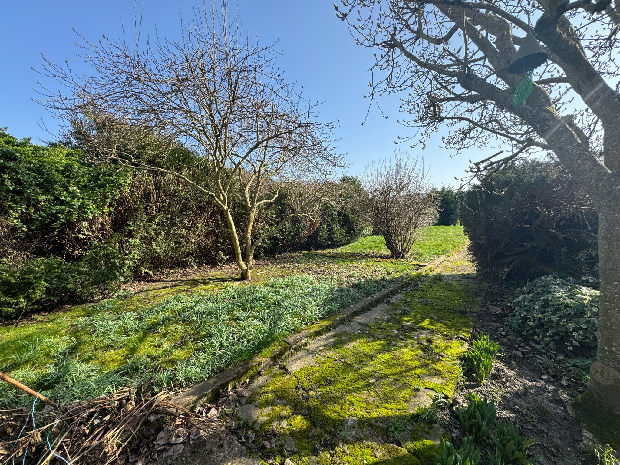 Agence immobilière de DAUPHIN Marianne