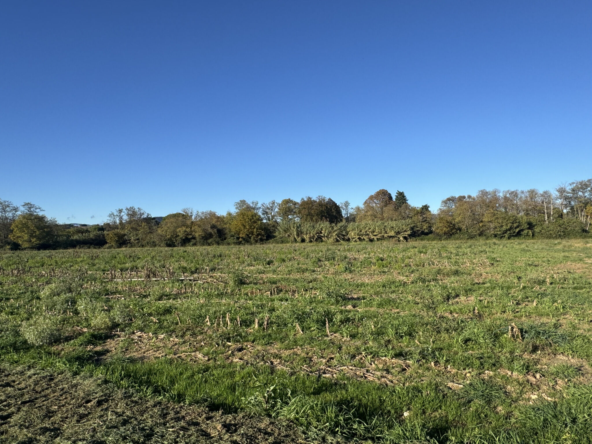 Agence immobilière de La Bastide Agence Immobilière